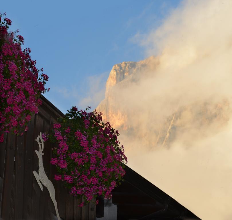 Hotel Margherita San Martino Di Castrozza Kültér fotó